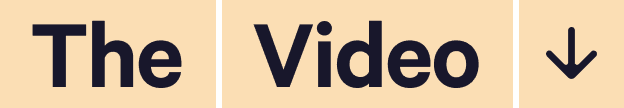 Section Wildcard Headline